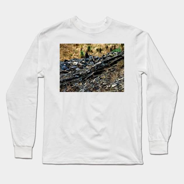 The Shale Rockfall Long Sleeve T-Shirt by PictureNZ